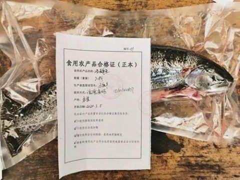 兰州市首张水产品合格证在永登开出