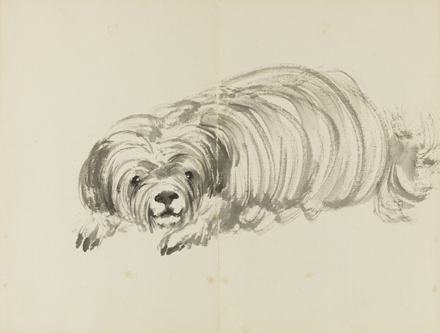 戌狗,这支狗肯定是温顺的.