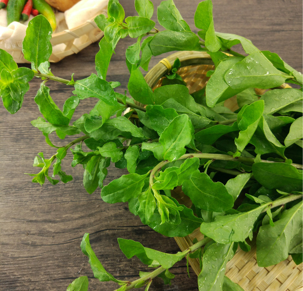 四月这菜正鲜嫩,这样做大人孩子抢着吃