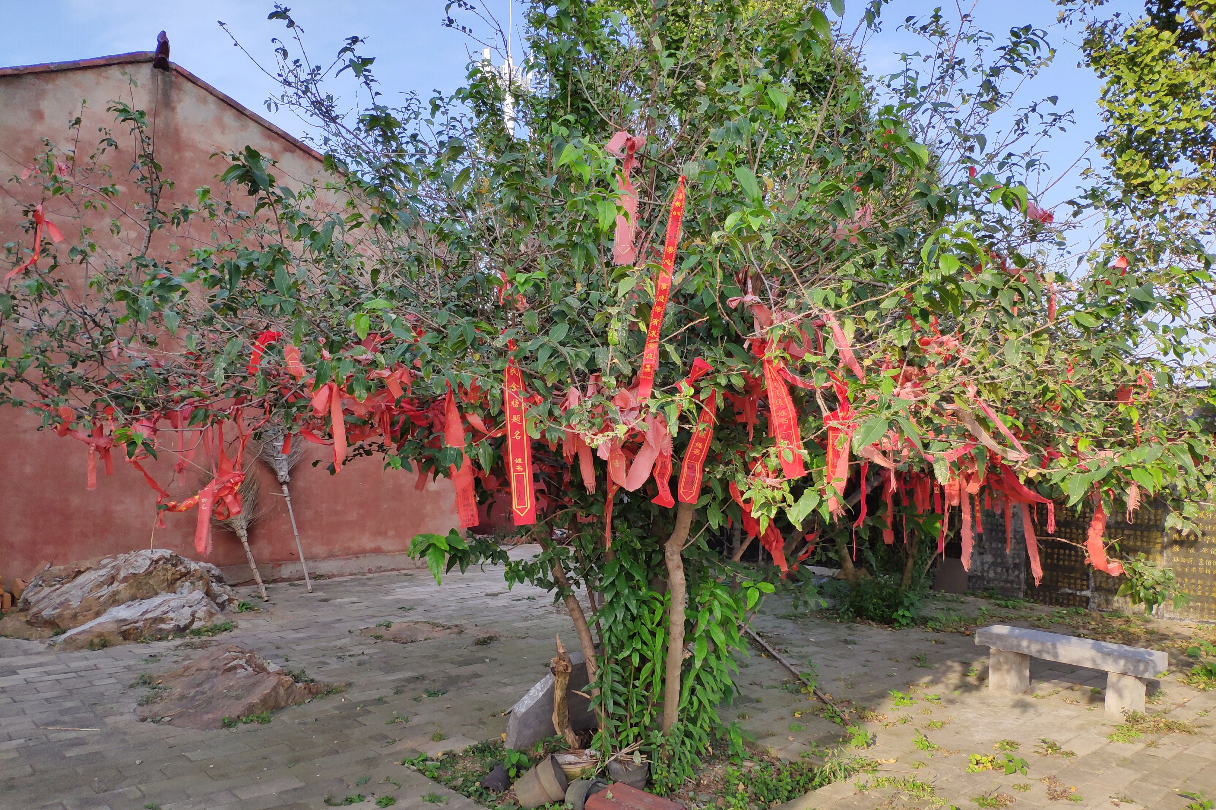 固始安山森林公园