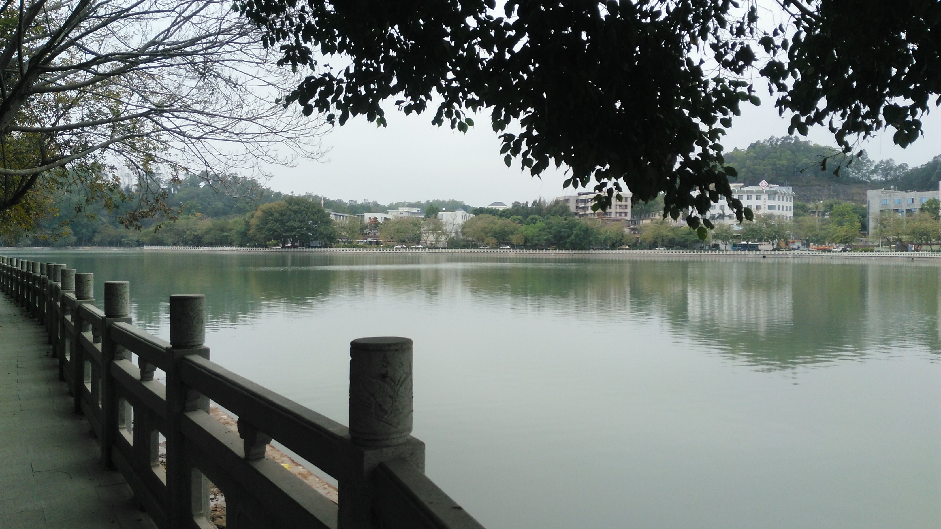 惠州市內除了西湖和紅花湖,還有一個菱湖,你聽說過嗎?