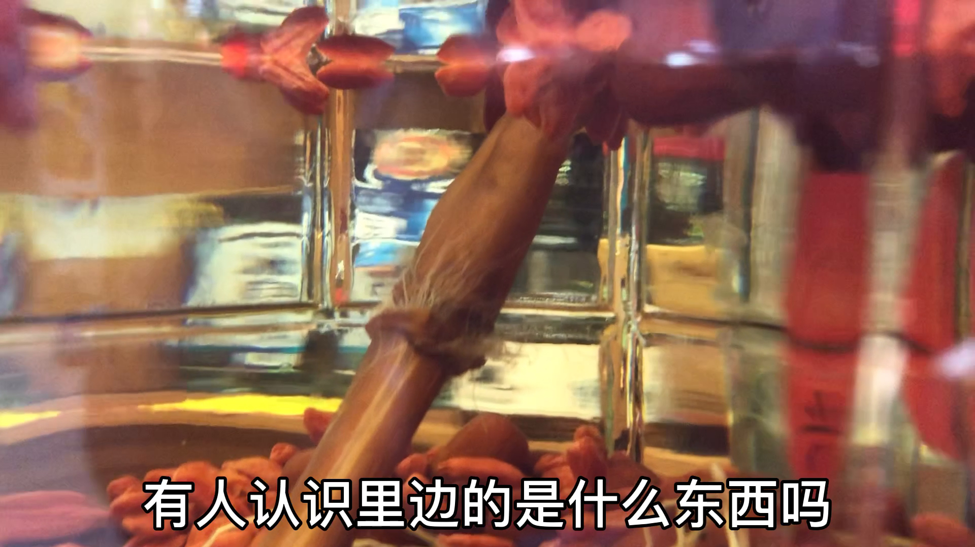 为啥都爱去东北饭店,量大菜足,还有秘制酒