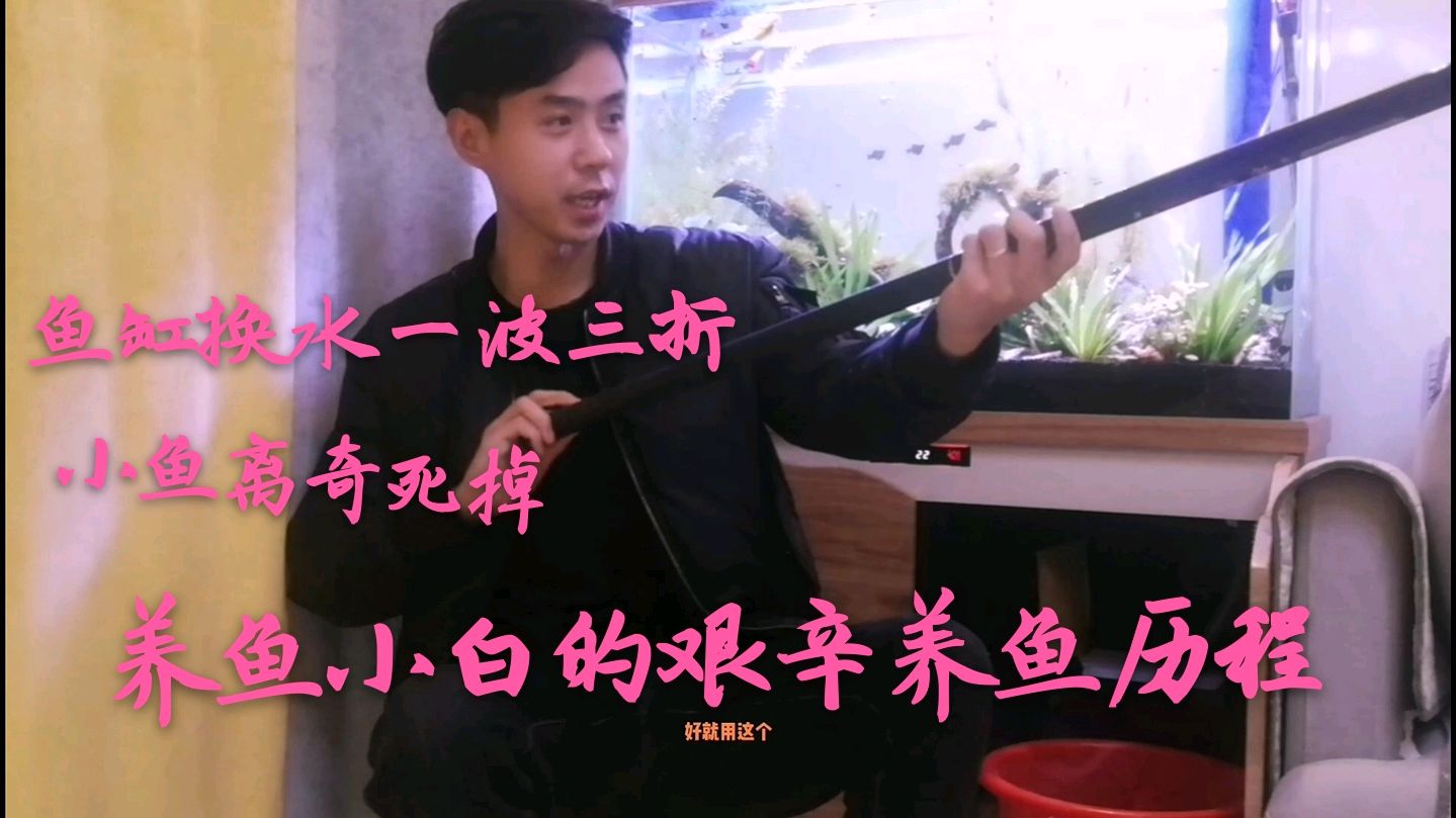养鱼小白骑羊子在家给鱼缸换水,鱼儿却离奇死掉!什么原因?