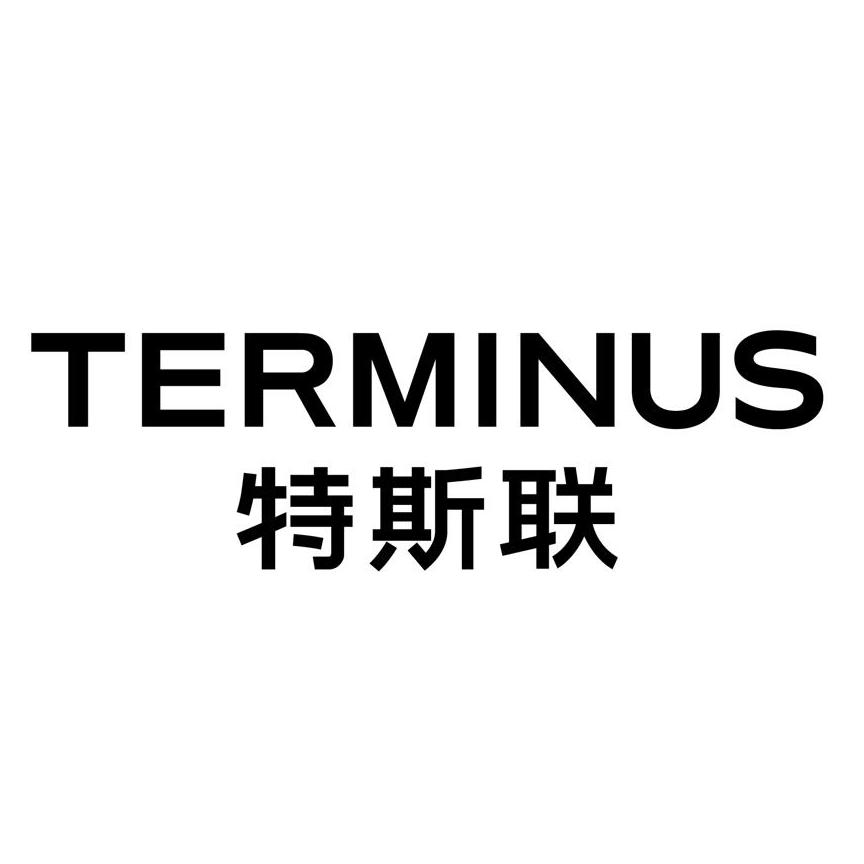 next 10 years: 特斯联发布全新logo