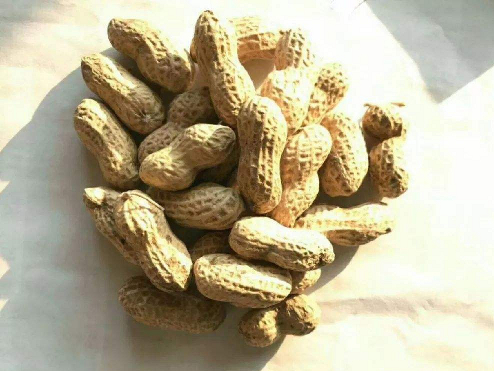 圣诞爆款美食# 滦县花生,河北省滦县特产,中国国家地理标志产品.