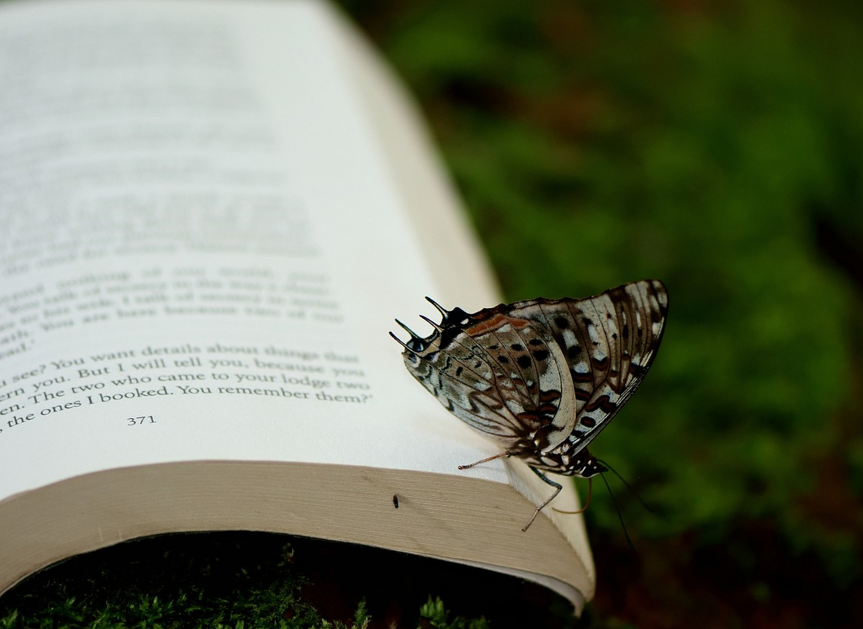 点醒迷茫的父母3 《奇葩说》中,颜如晶曾说过一番话,让人记忆深刻: "