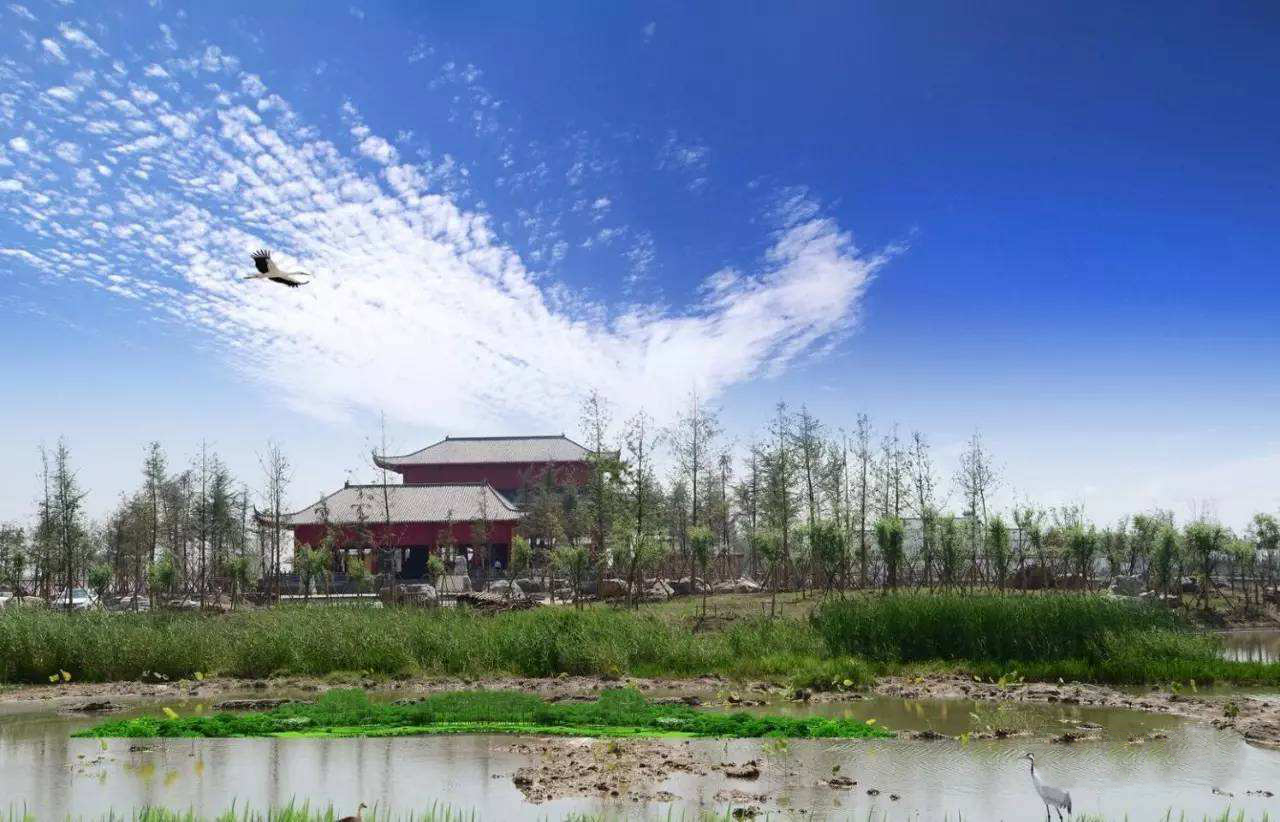 泗县霸王城,此霸王城非彼霸王城