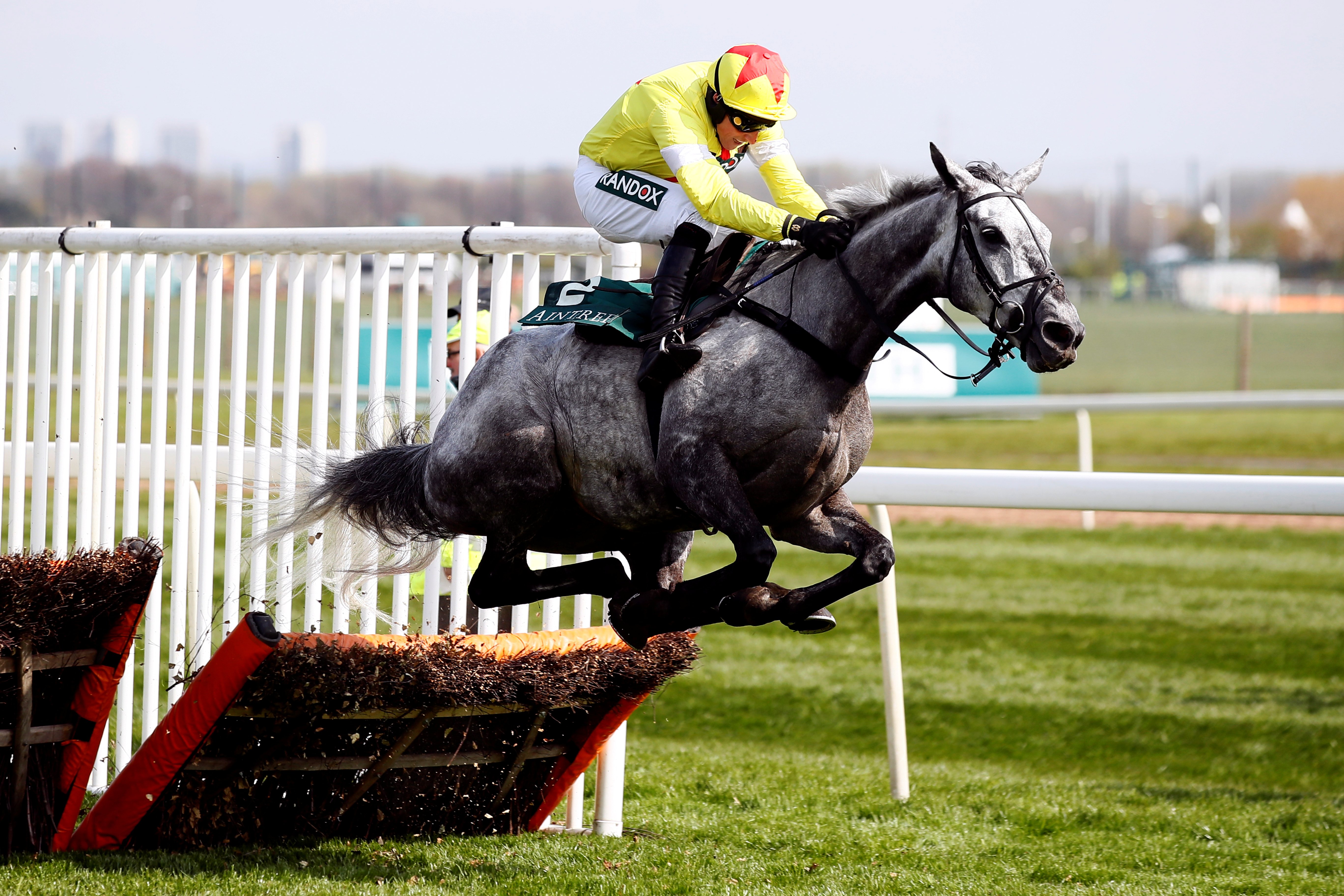 英国国家障碍赛马大赛落幕(4)