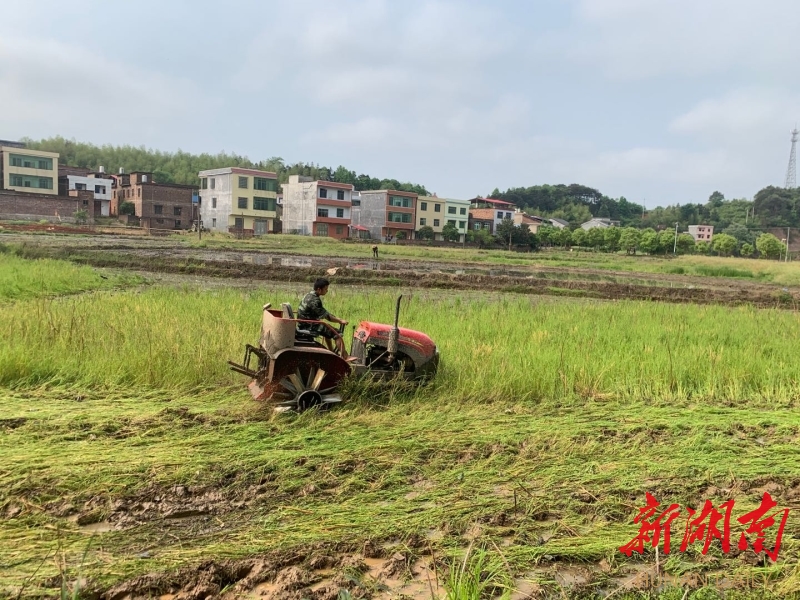 安仁县华王乡名人图片