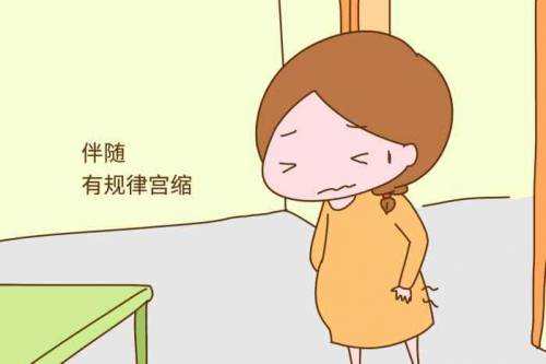 38周产妇肚子痛