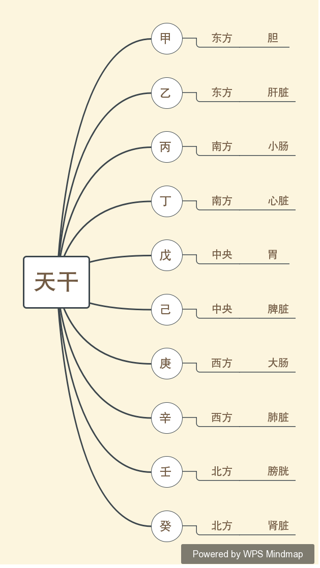 八字基礎:十天干對應方位,臟腑.