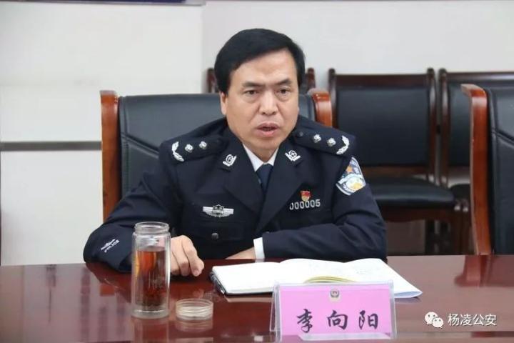 李向阳副厅长督导杨凌扫黑除恶专项斗争工作