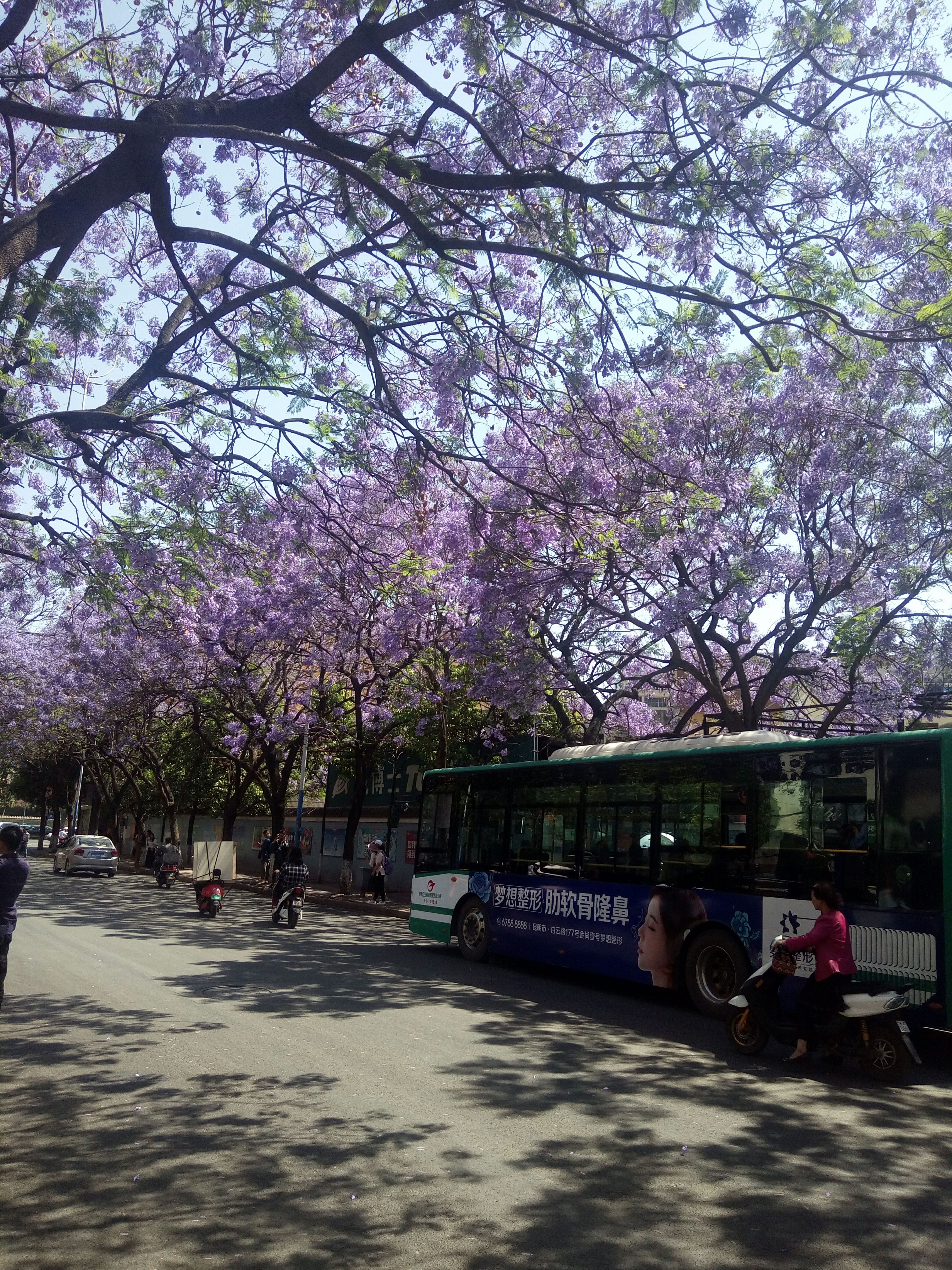 昆明教场中路的街景