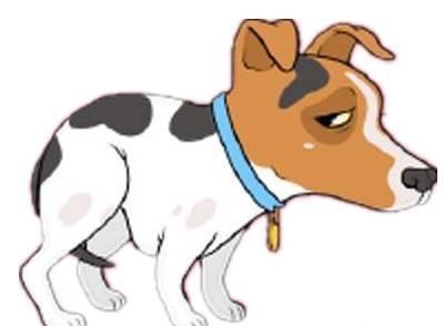 一些土狗见到宠物狗时,会夹着尾巴逃走,是它们自卑吗