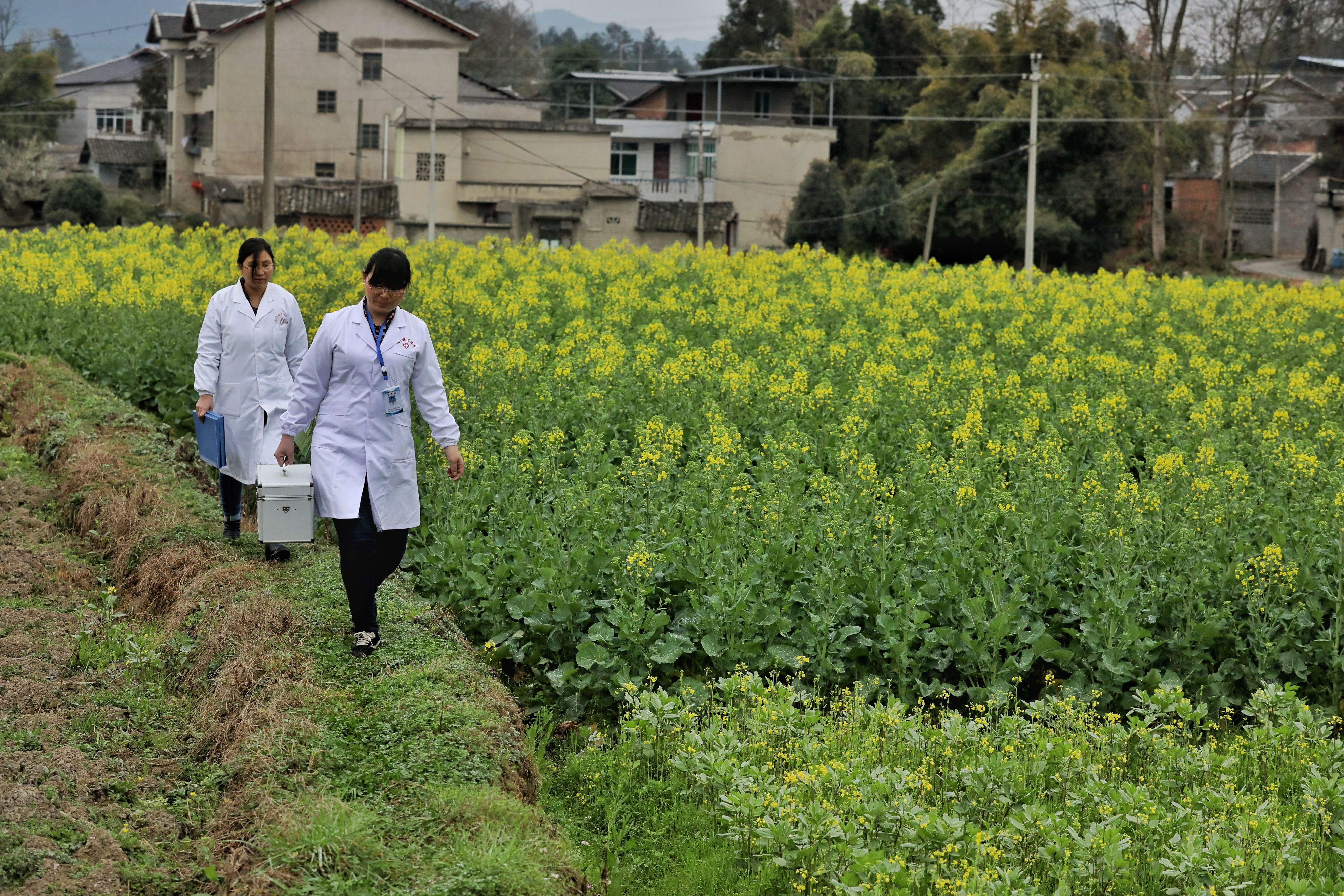 行走大山的"天使—记贵州省绥阳县乡村医生方晓美(2)