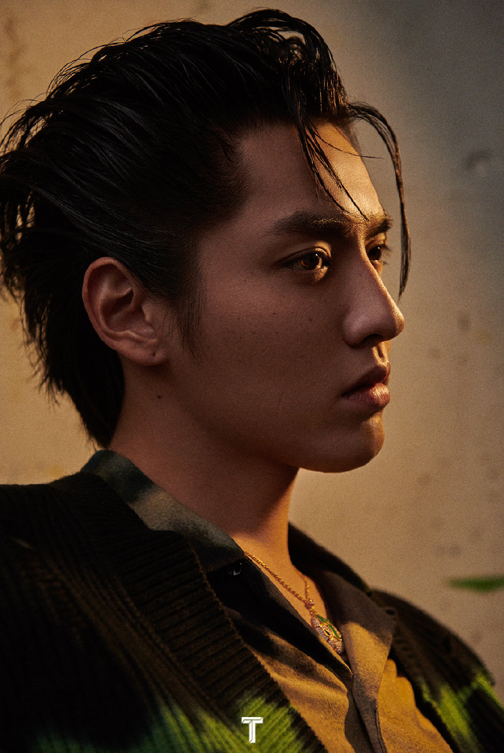 吴亦凡《t》杂志内页大片释出 雀斑点点营造法式风情