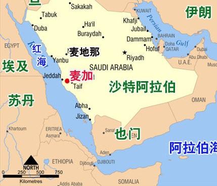 曾经的兄弟伊朗和沙特,宿怨是怎么结上的?谁才是真正的中东霸主