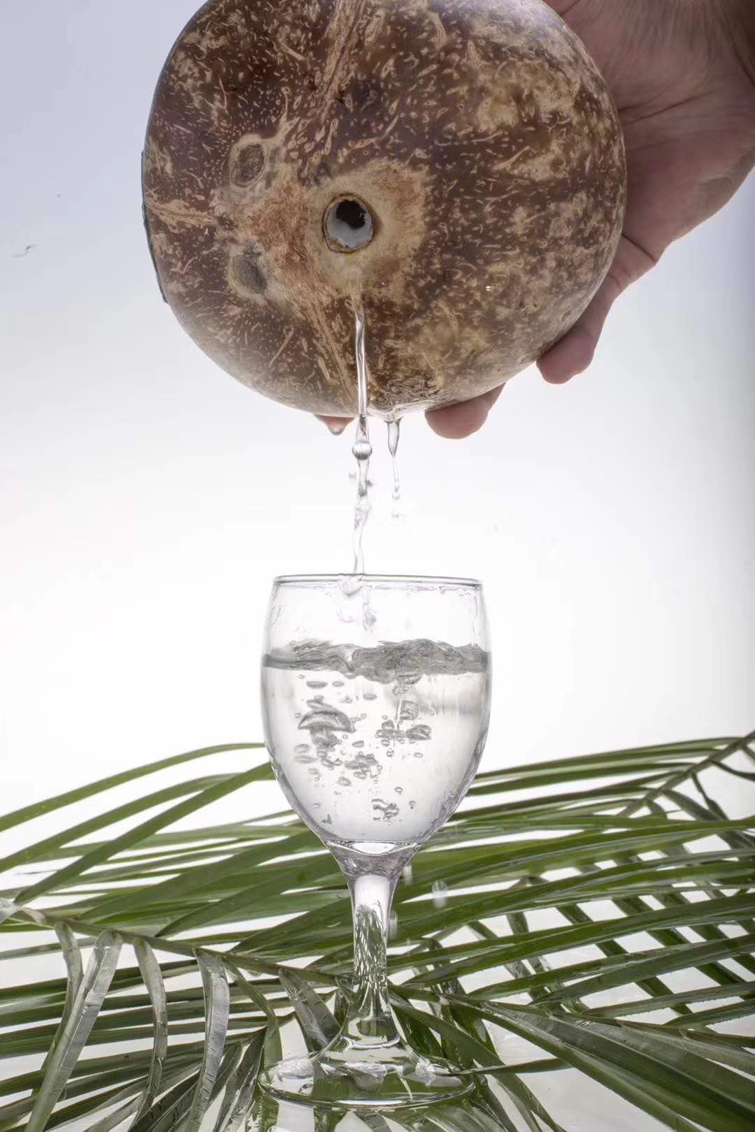 椰子酒 - 热门商品专区