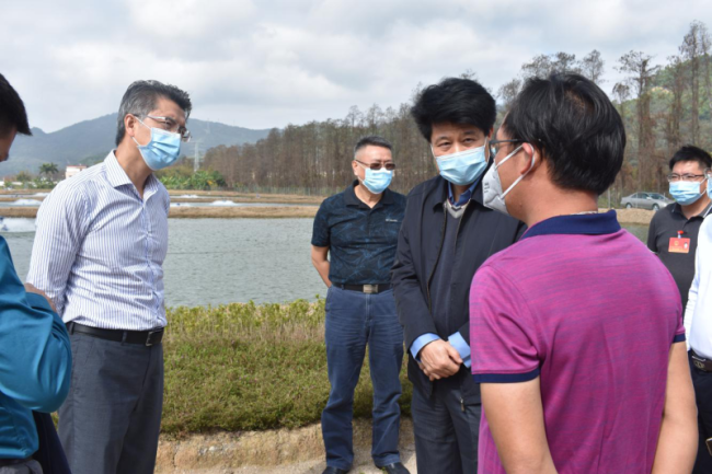 中山市领导林凯率队到坦洲镇田间塘头指导春耕生产