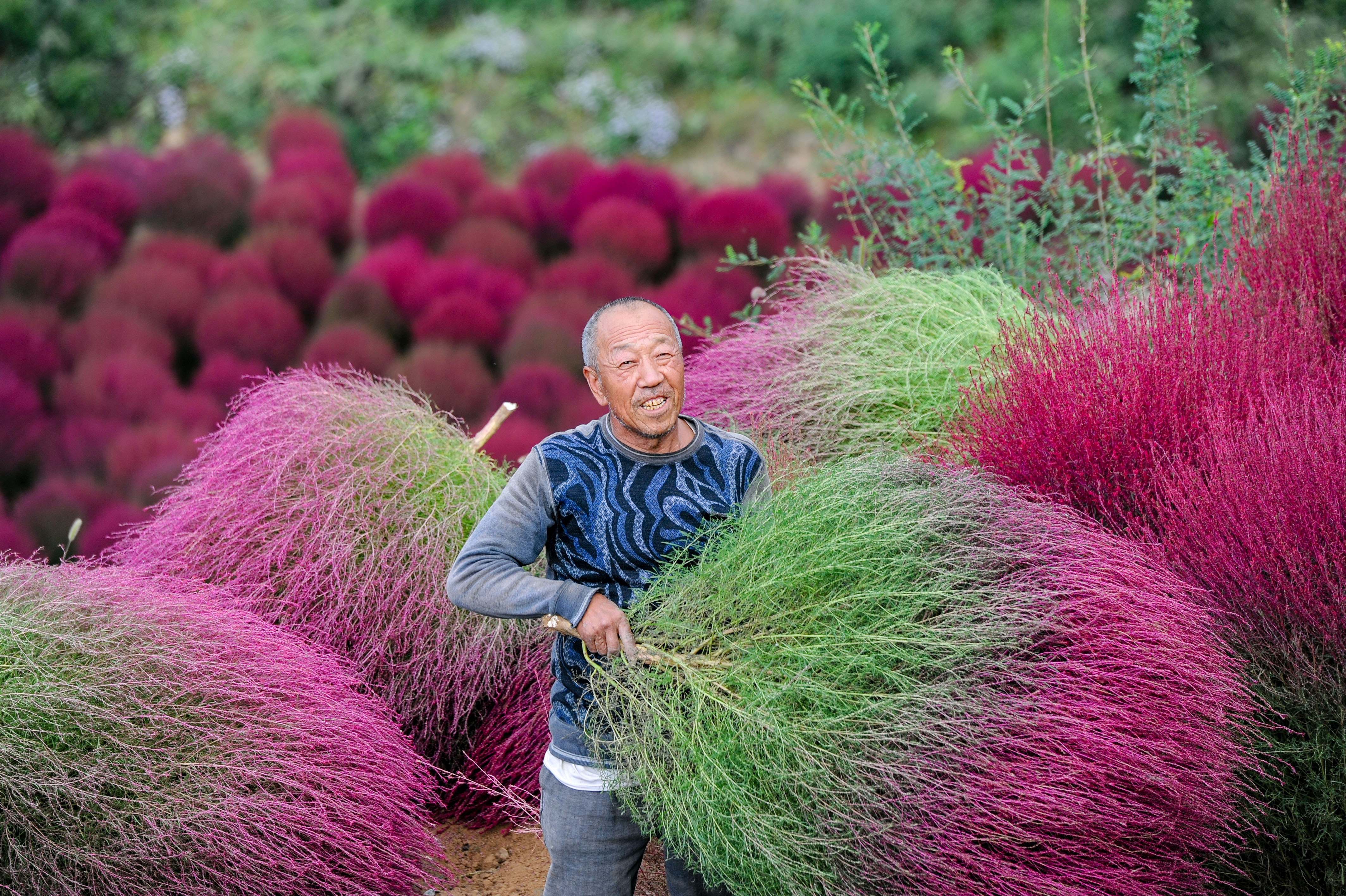 扫把- 热门商品专区