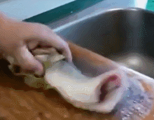 劝君莫杀生,万物皆有灵,劝君常吃素,身心皆康泰!