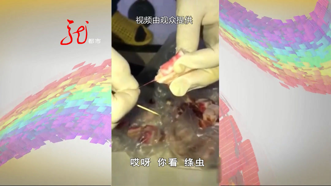 到底是啥玩意?五花肉里有红点 竟然拽出像虫子一样的东西