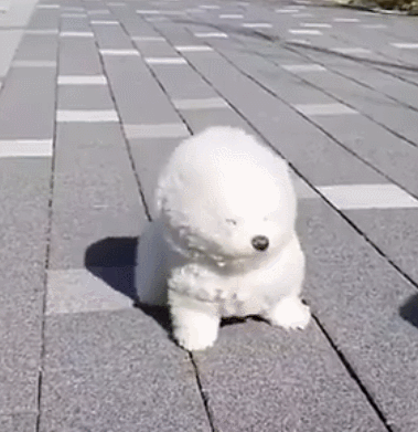 ：北风劲吹，北京今日9级阵风继续！下午最高气温仅15.7℃