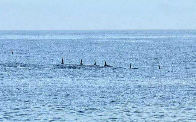 楚科奇半岛,一个蛮荒之角,同时能看到日出和日落的地方