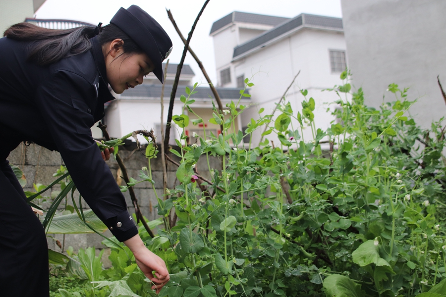 「新春走基层」90后女警的帮扶日记:元宵节的陪伴