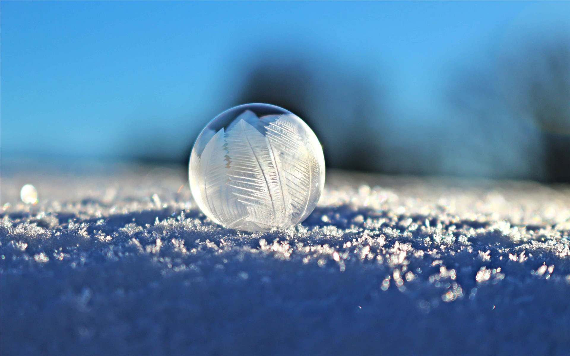 冬季冰晶泡泡唯美高清桌面壁纸,分辨率:1920x1200