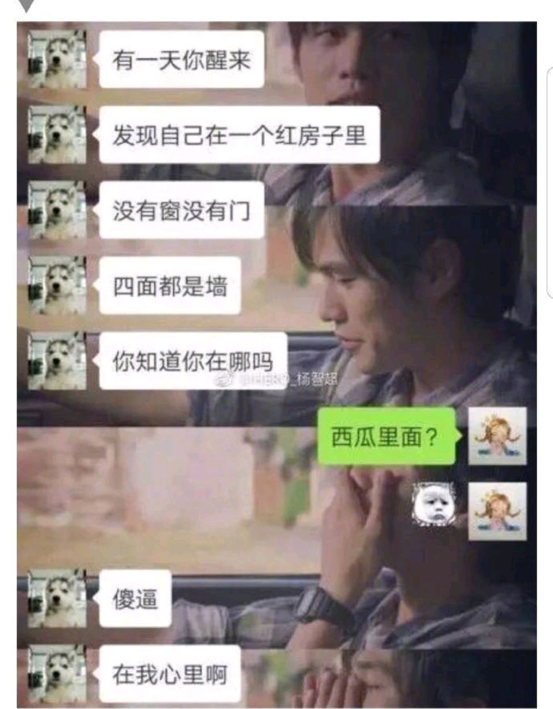 学会了这些土味情话,网友们还怕找不到男朋友和女朋友吗?