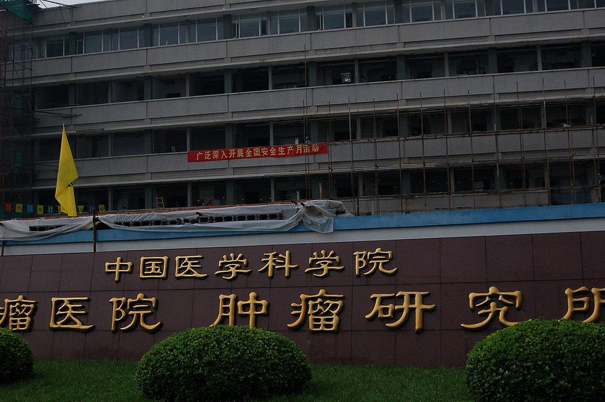 中國(guó)醫(yī)學(xué)科學(xué)院腫瘤醫(yī)院、大興區(qū)黃牛票販子號(hào)販子的簡(jiǎn)單介紹