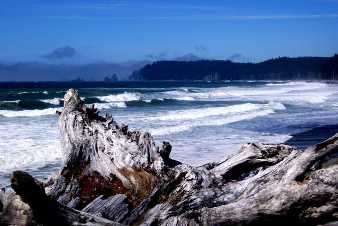 宁格罗海岸拥有世界上最长的岸礁,地貌独特