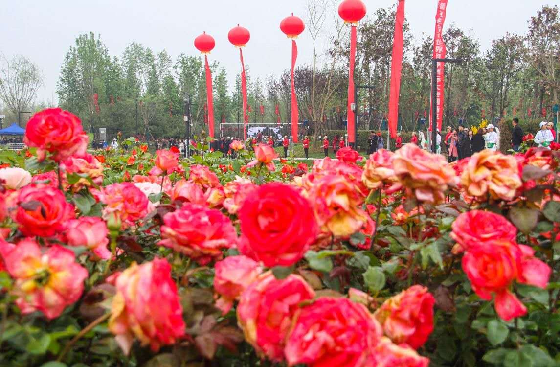 南阳高端网站建设_南阳网站建设哪家好_南阳高端网站建设有哪些