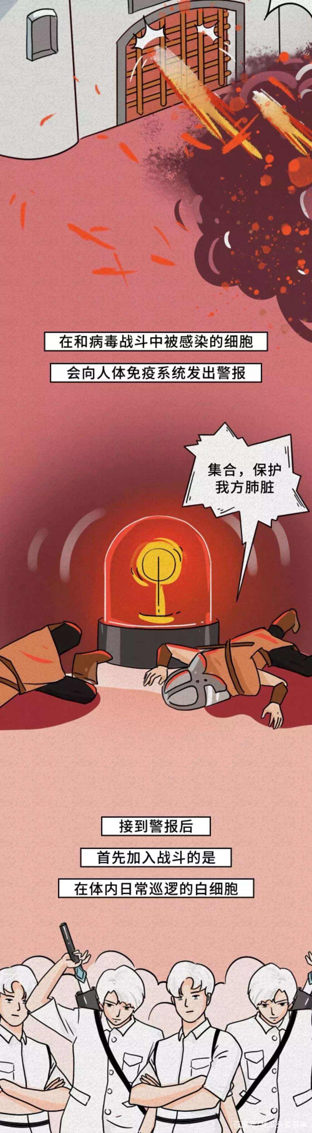 感觉看了场电影,细胞战斗实录!一起学起来,共同战斗~ 感觉看了场电影,细胞战斗实录!一起学起来,共同战斗~
