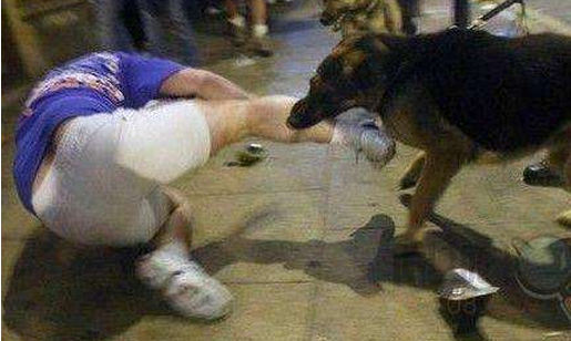 云南一男童扔炮仗炸狗反被咬 家长向狗主索赔5万