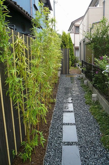 庭院竹子合集:随处可见的毛竹在庭院花园里居然有这么惊艳的美感
