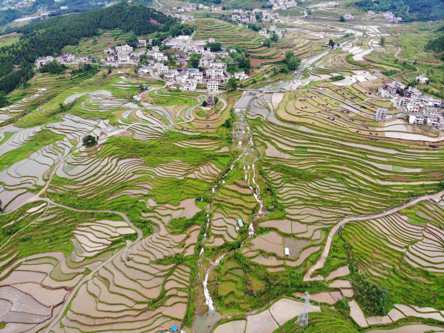 「四力四全」郭家湾村"贡米之乡"种地种出好愿景