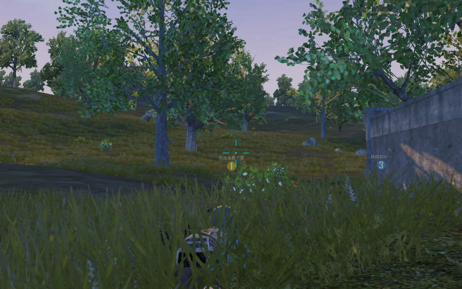 刺激战场:菜鸟喜欢绝地海岛,高手喜欢热情雨林,大神唯爱这张图