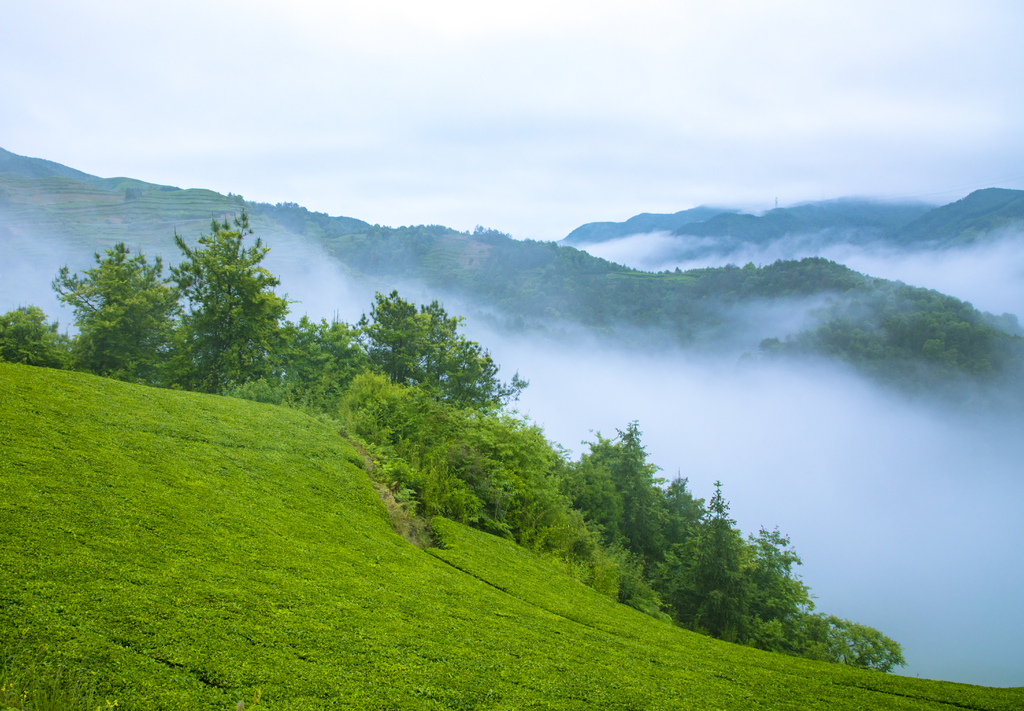 西白山的一片漂亮的云雾 转载自百家号作者:小佳摄影