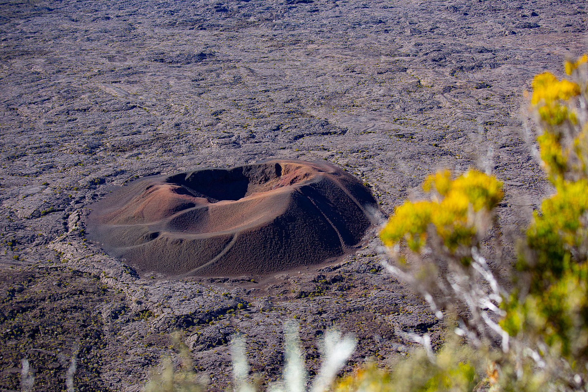 盾状火山图片图片