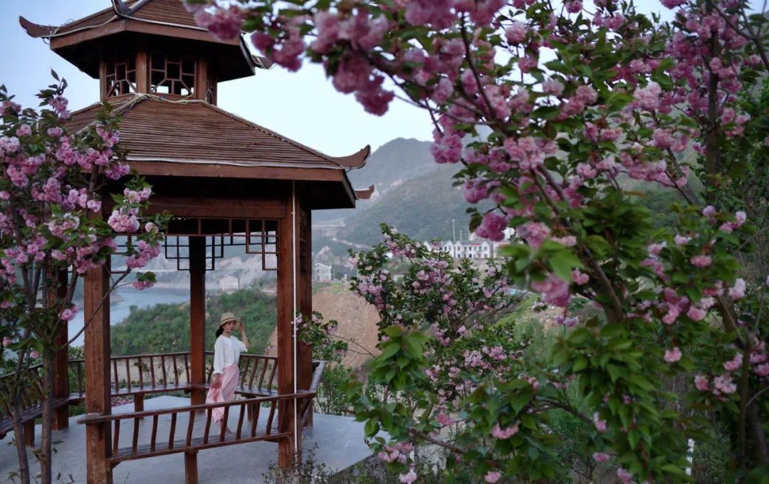 千米樱花大道,百亩樱花海,房县樱花岛正式对外开放!