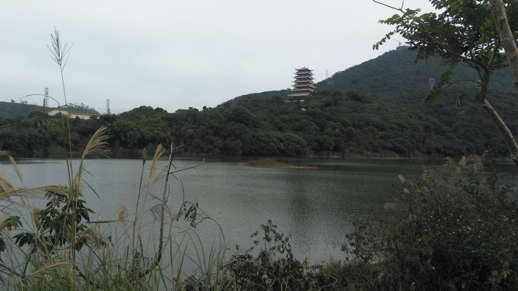 實拍東莞清溪大王山森林公園裡的神鹿湖,你們來過這裡嗎?