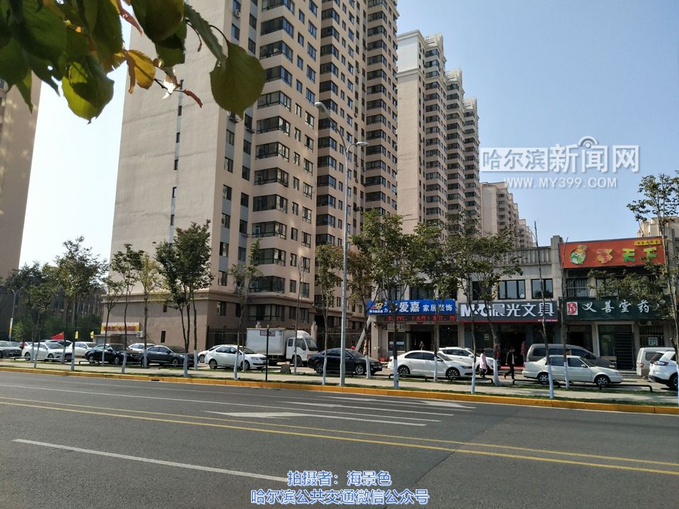 公交238路开通试运行|哈西大街南段,兴江路中段连接群力哈西中心地区