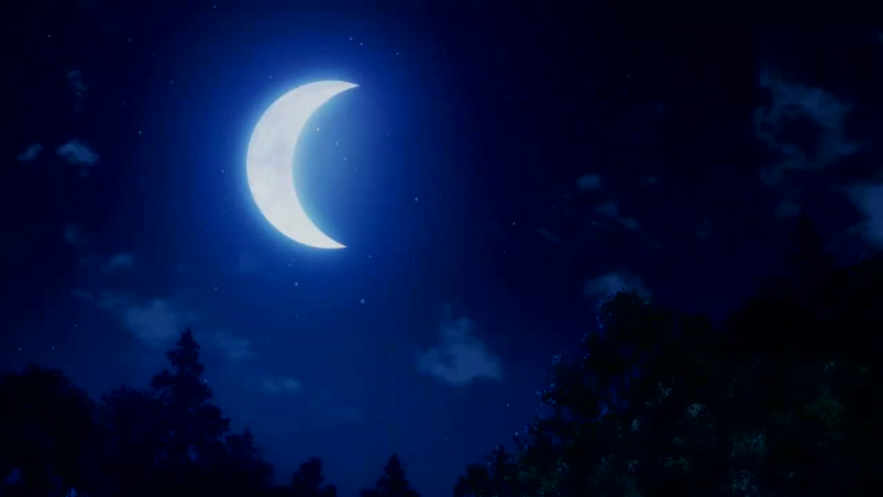 爱动漫:王也被宝姐活埋,宝姐的动作也太熟练了吧