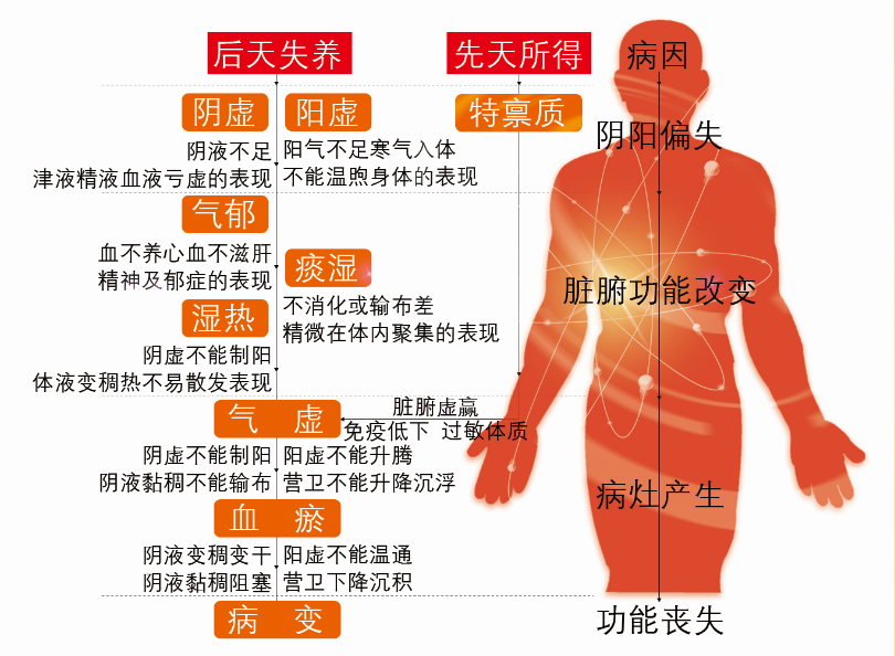 体质辨识