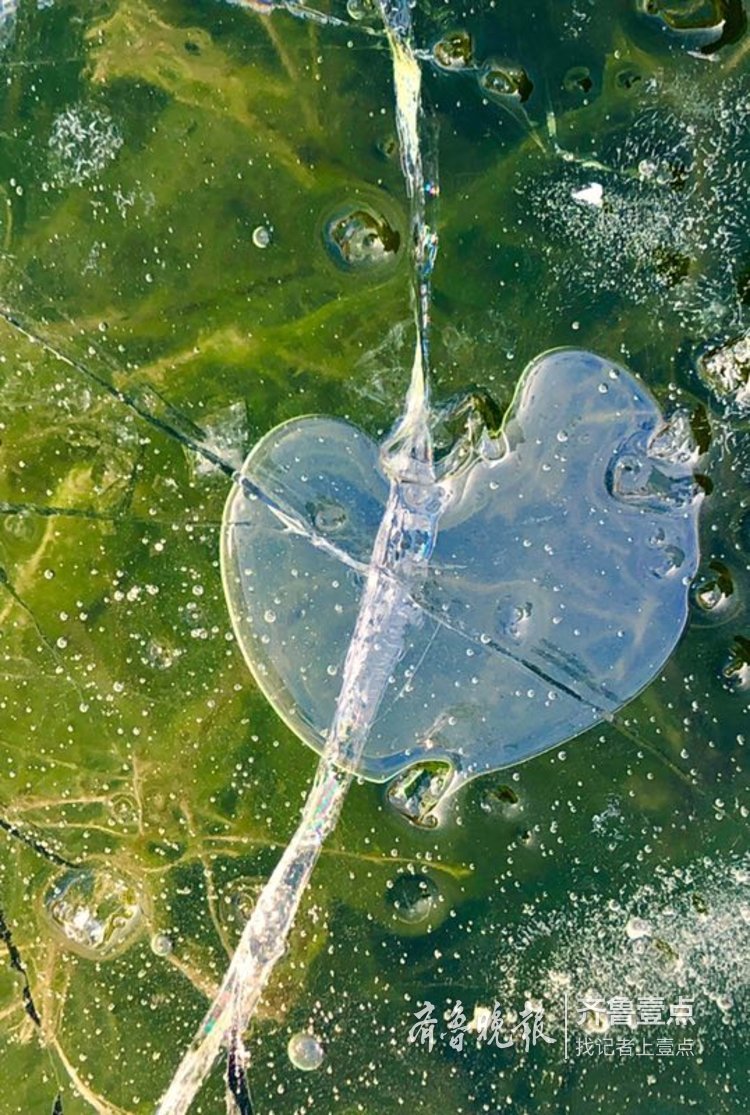 拍课堂学员 于平松 2月17日摄于济南浆水泉水库