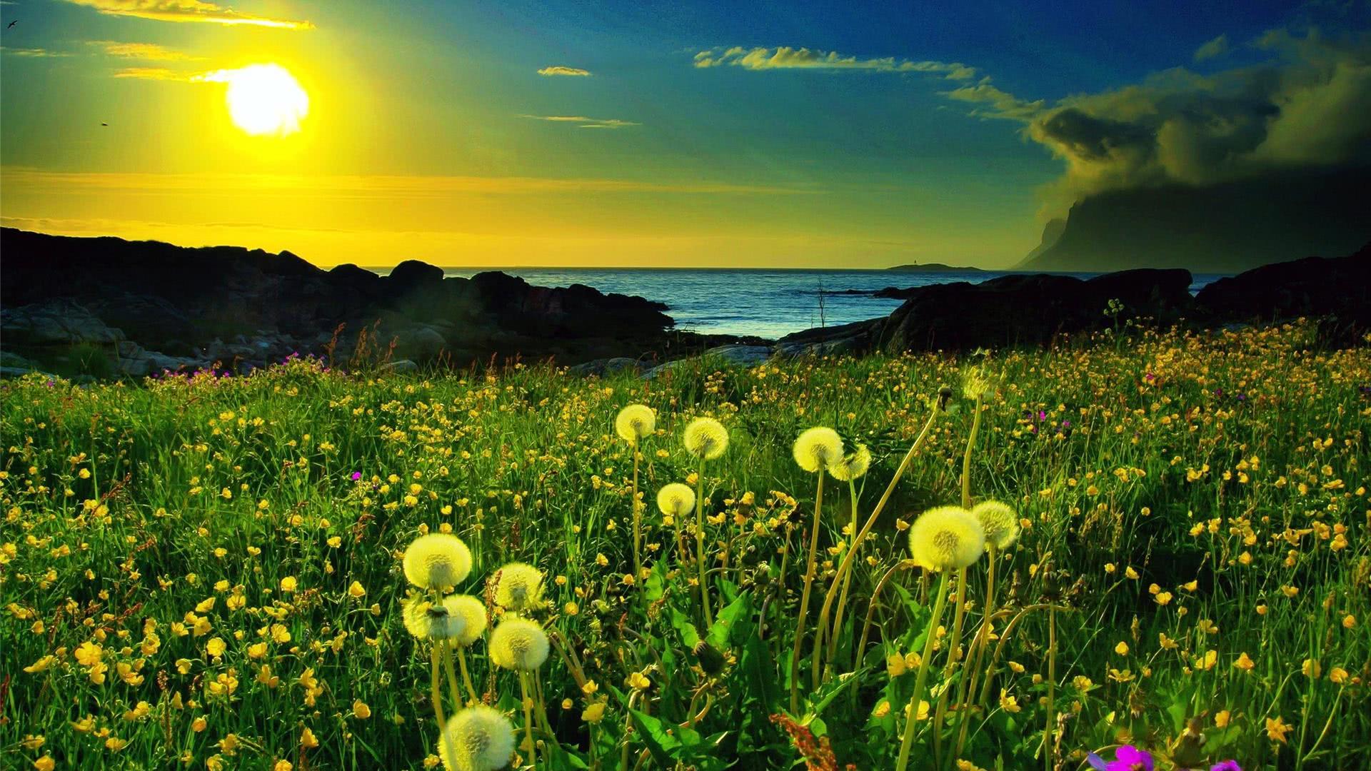 十二月财气会很好的星座,好运加倍!