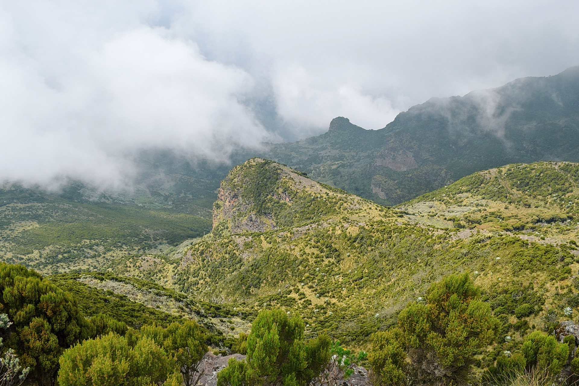 哀牢山,位于中国云南省玉溪市,是一个自然风光秀丽,人文景观丰富的