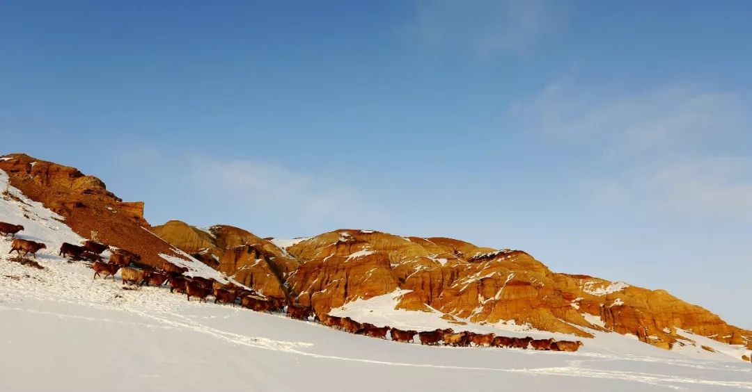 杜热雅丹 瑰丽多彩
